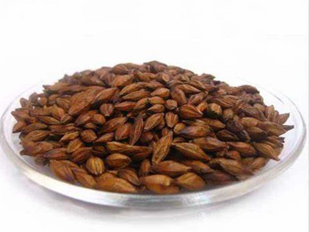 <b>What is special malt used in beer brewing</b>